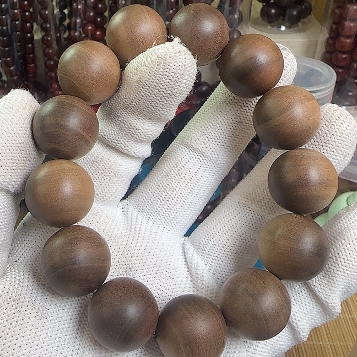 木质檀.檀香.木………………1.8土埋