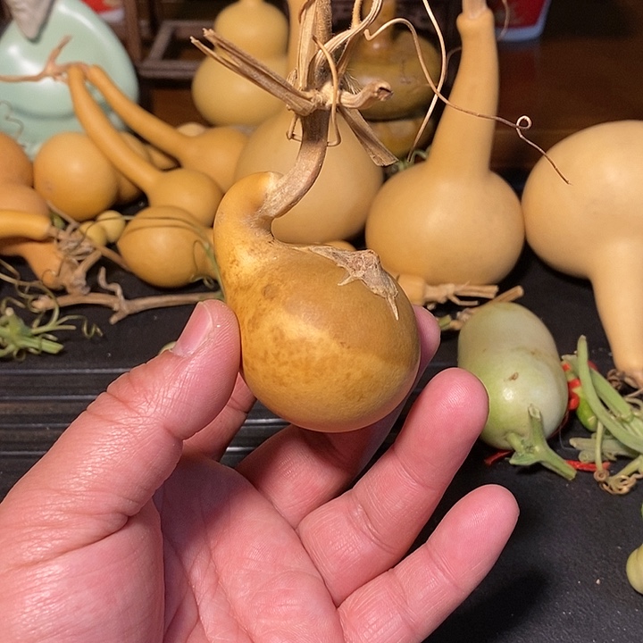 北**鹰精品葫芦手把葫芦49