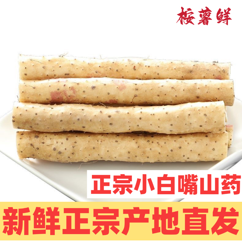 小白嘴3斤50-70cm正宗新鲜蠡县粉小白嘴糯细腻香甜纯天然产地