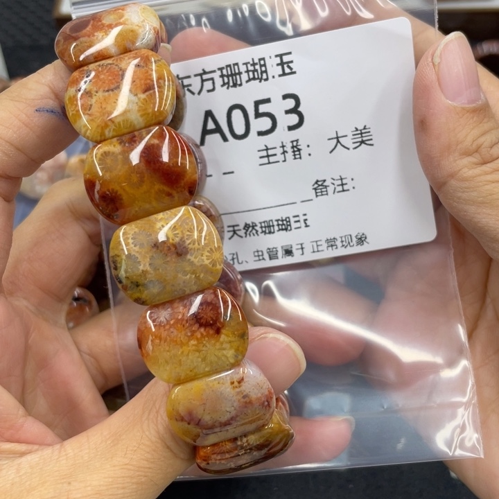 n***n硅化珊瑚（珊瑚玉）合金颈饰