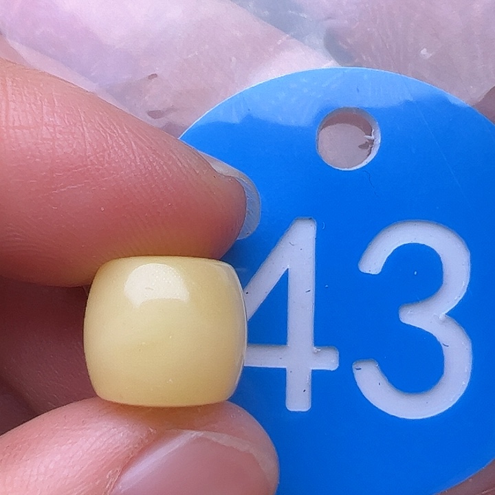 蜜蜡裸石未镶嵌金沙11m m