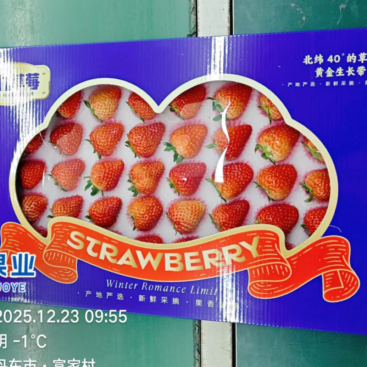 丹东九九草莓 圣诞款辽宁省