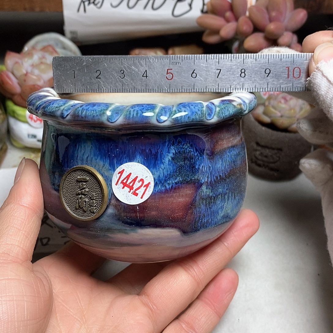 红陶处理的，处理