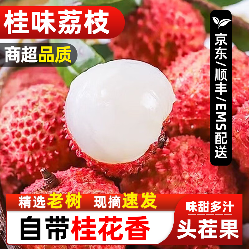 【顺丰/京东/EMS冷链】广东正宗桂味荔枝新鲜现摘老树