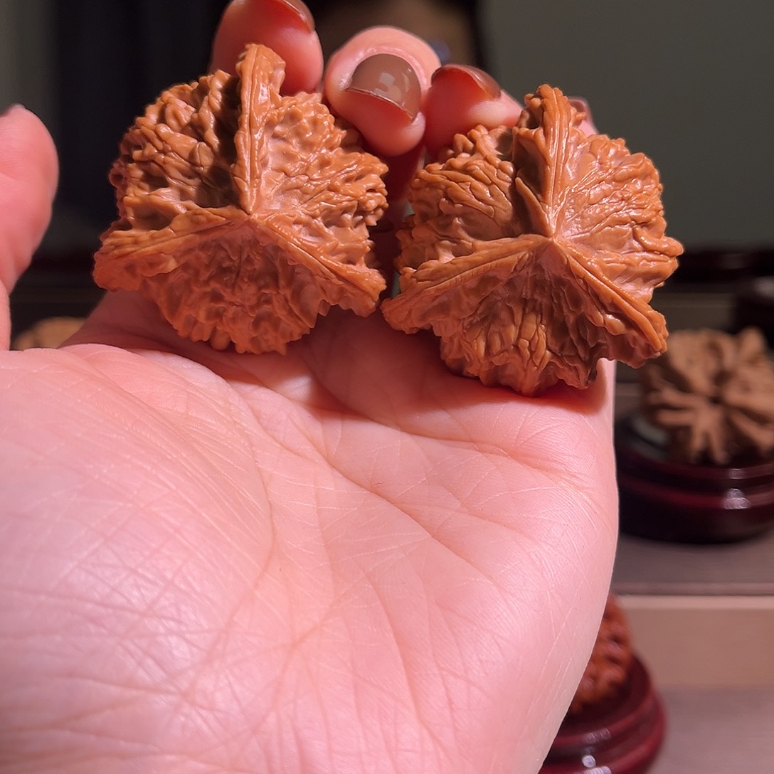 野****核桃三棱全品无休