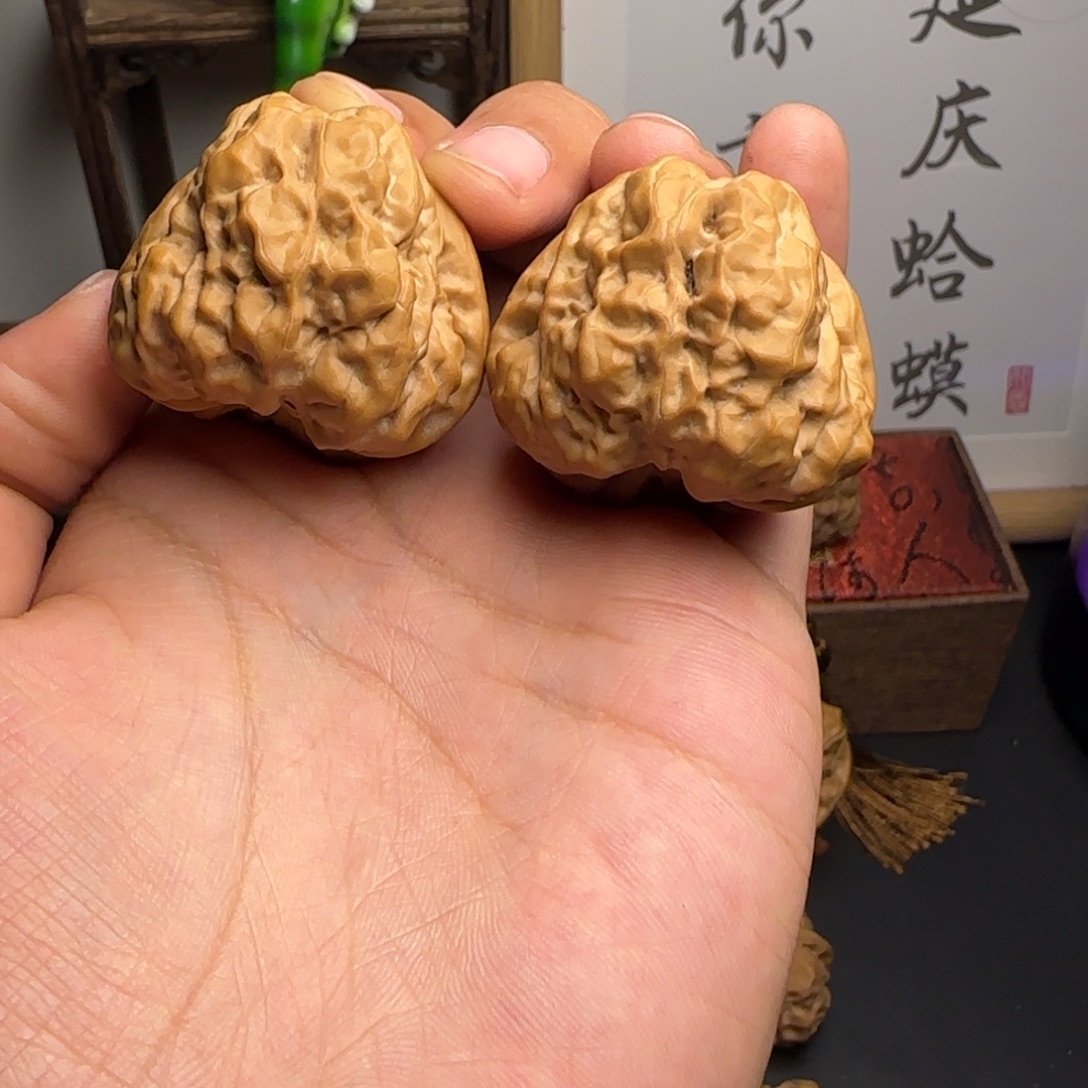 张***月40✖️42➕蛤蟆头红皮