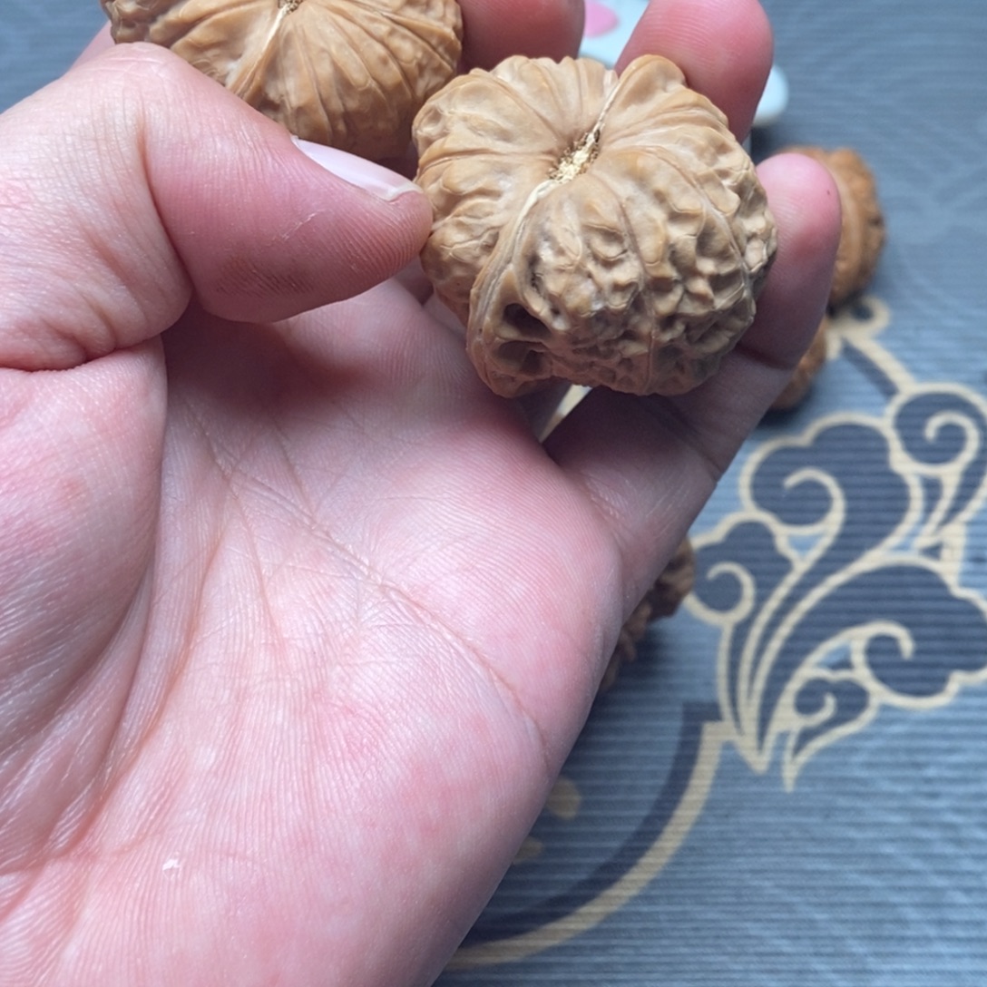 天***天大叶紫檀（黑酸枝木类）