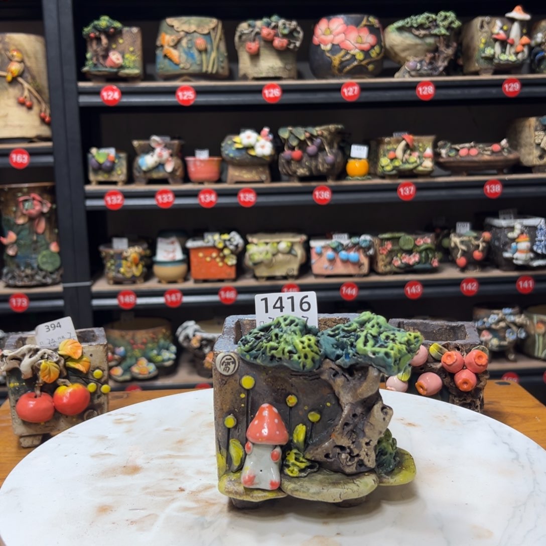 红陶1416 口7.5高10