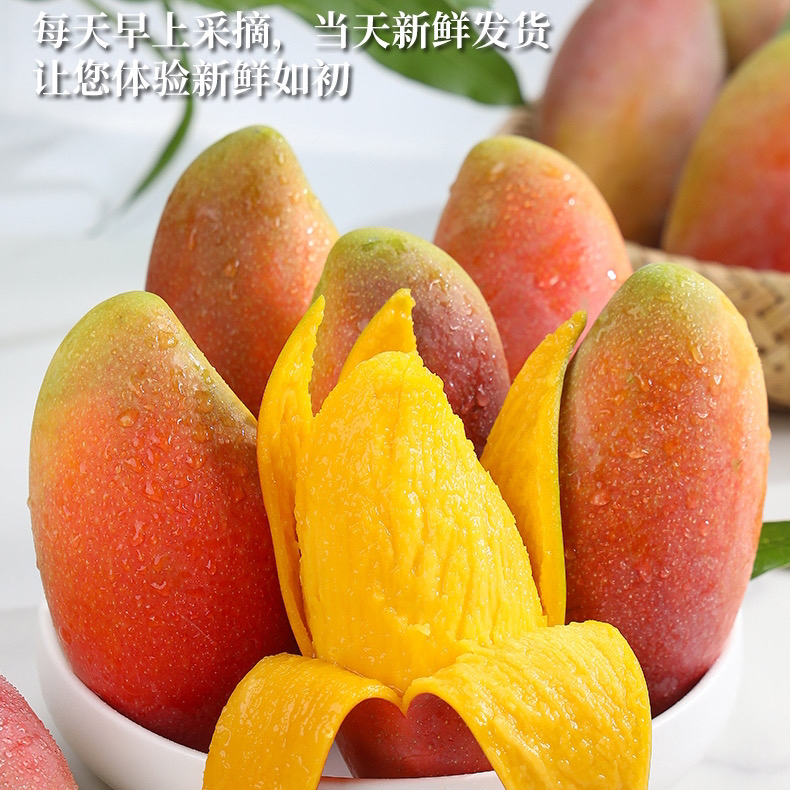 净重8斤海南香甜芒果三亚红金龙贵妃芒树上熟海南三亚直发家庭装