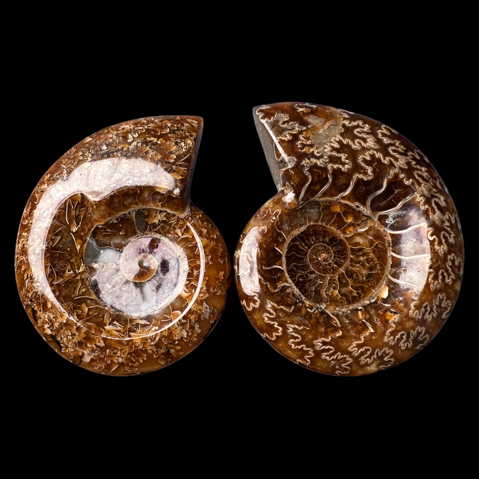 【 叶菊石（ 烟缸一对 ）】尺寸90.8mm 玉化 马达加斯加YY 古贝壳 X6