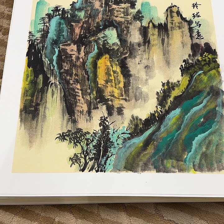 国画花鸟的翅膀和翅膀是白色的羽毛