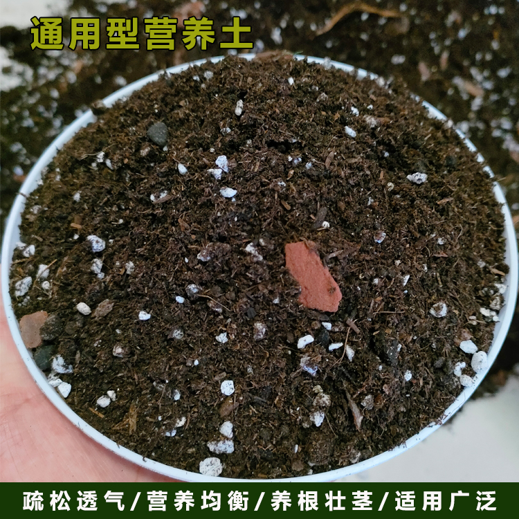 通用型营养土花卉绿植盆景专用土有机肥料种植泥炭自用5升营养土
