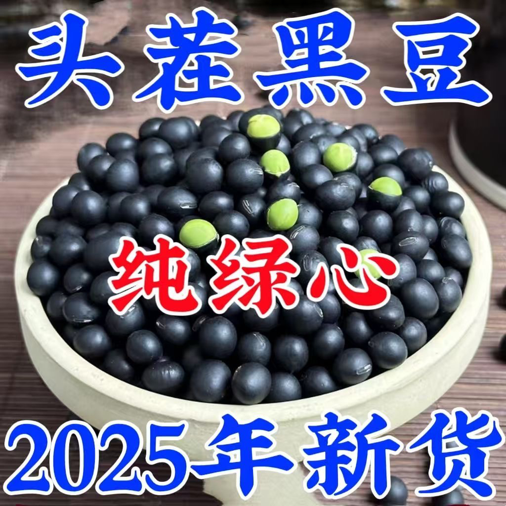 广东粤西农家绿心黑豆