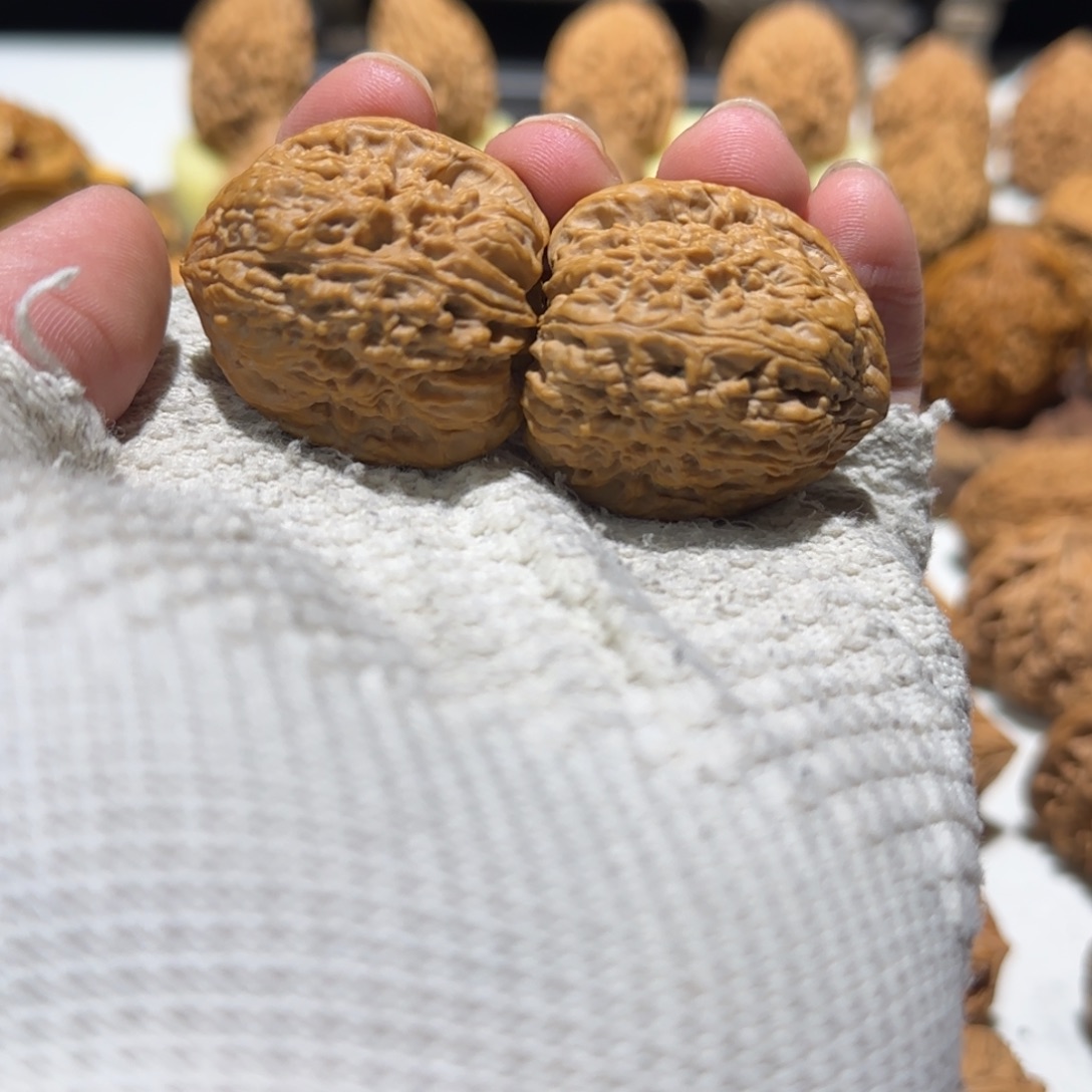 吊坠文玩核桃涿鹿蚂蚁纹南疆石