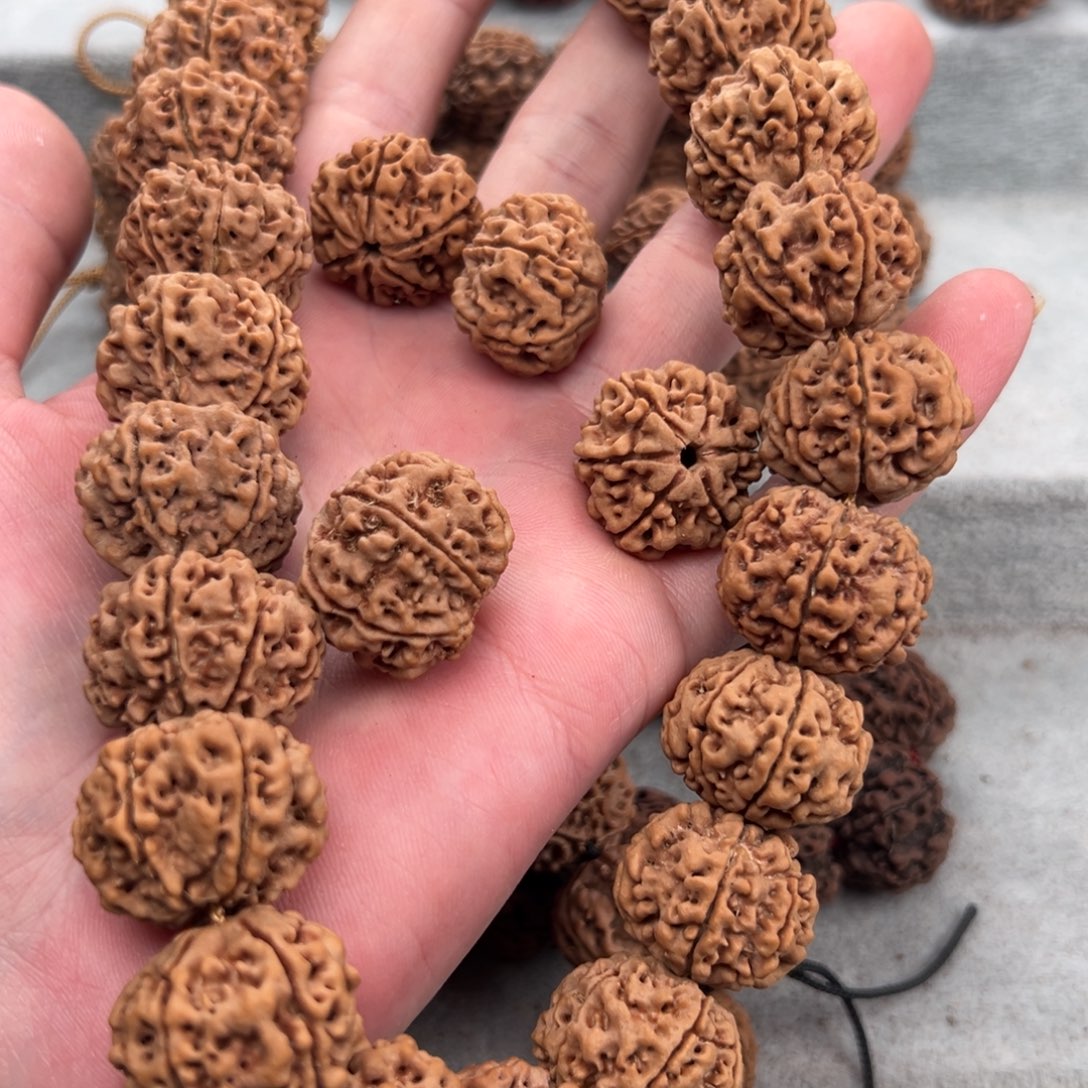 金刚菩提手串站*点24六瓣