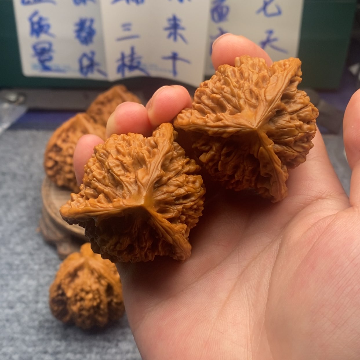 【闪购商品】王*学官帽