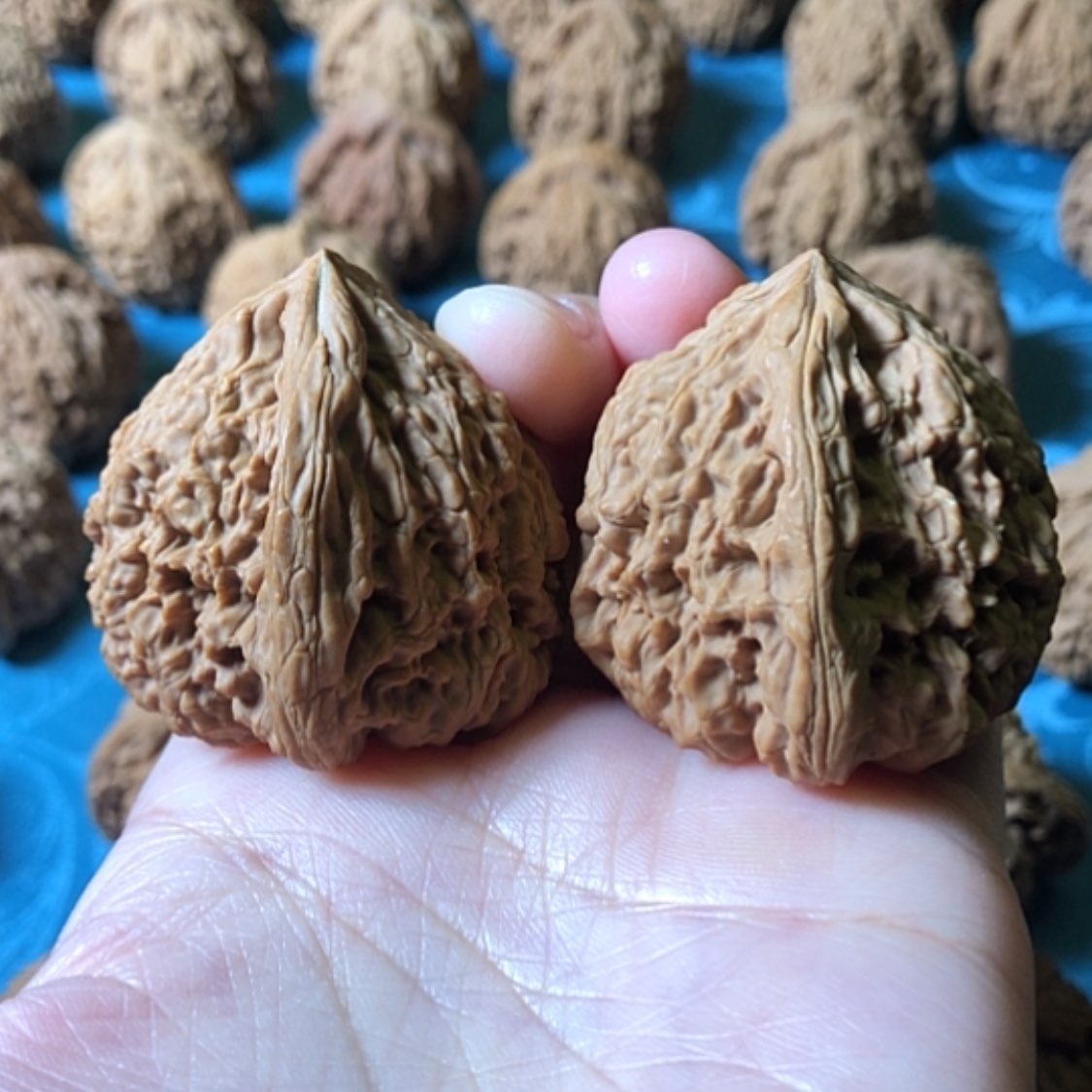 【闪购商品】文玩核桃把件一代将