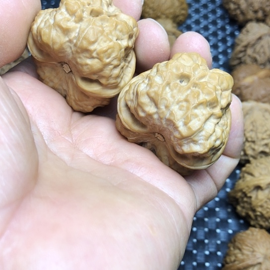 日***金文玩核桃吊坠疙瘩蛙