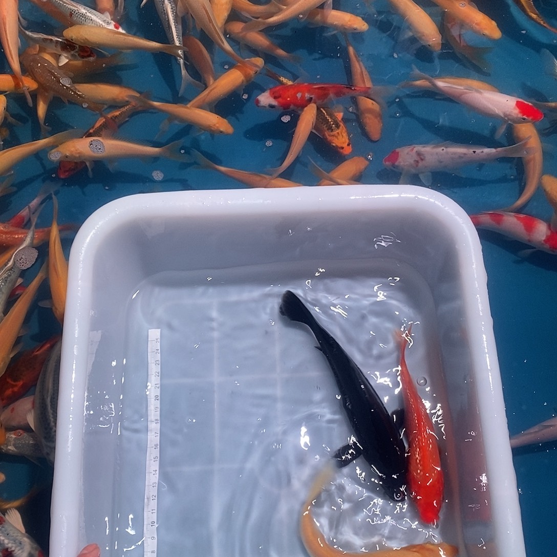 海水39啊啊啊啊啊啊啊啊