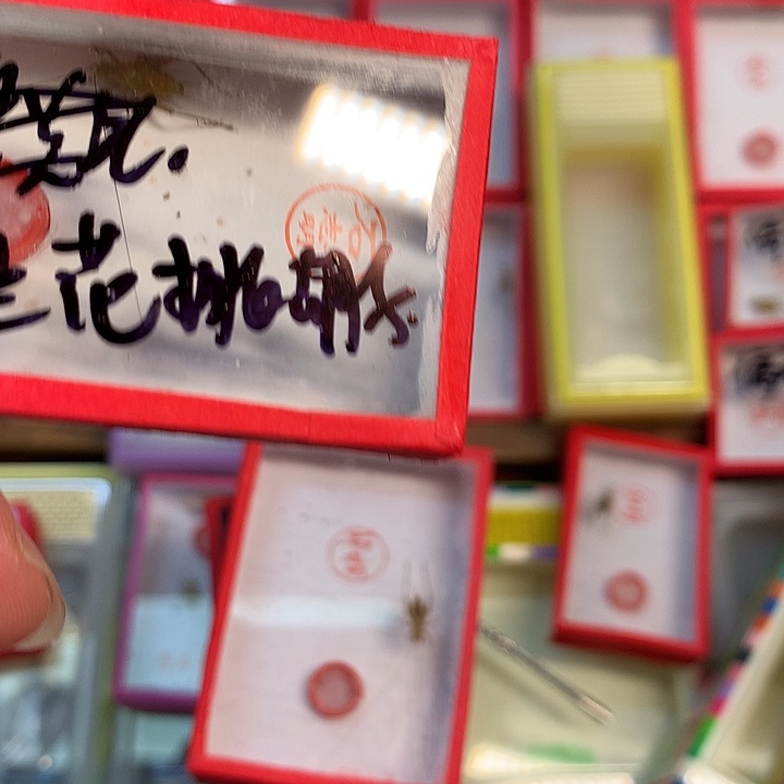 兰***子60大黄哈哈哈哈哈哈哈