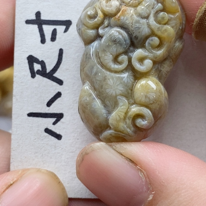 颈饰未镶嵌硅化珊瑚（珊瑚玉）