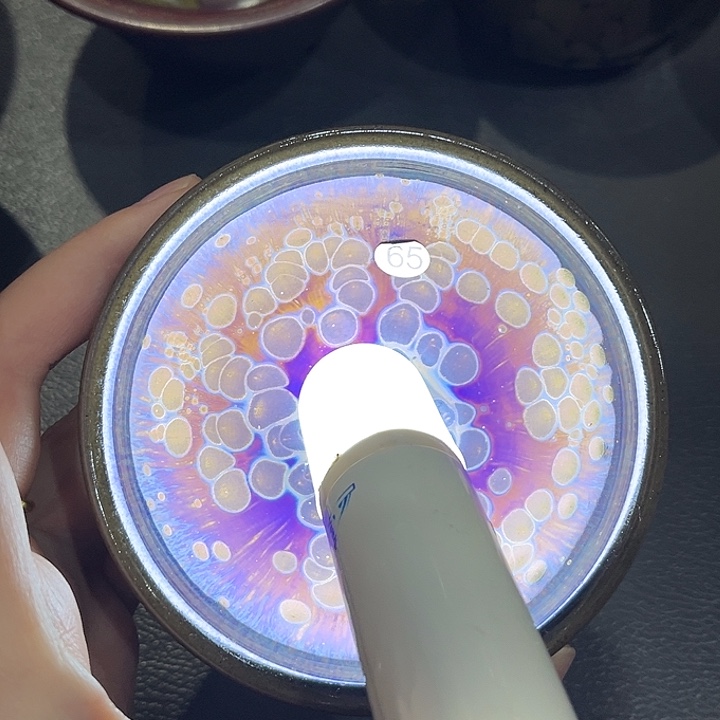 茶盏乐乐乐乐乐乐乐乐乐乐乐乐