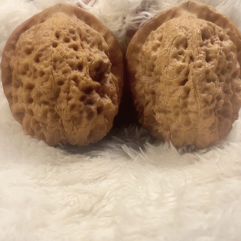 文玩核桃把件金刚佛手带彩42