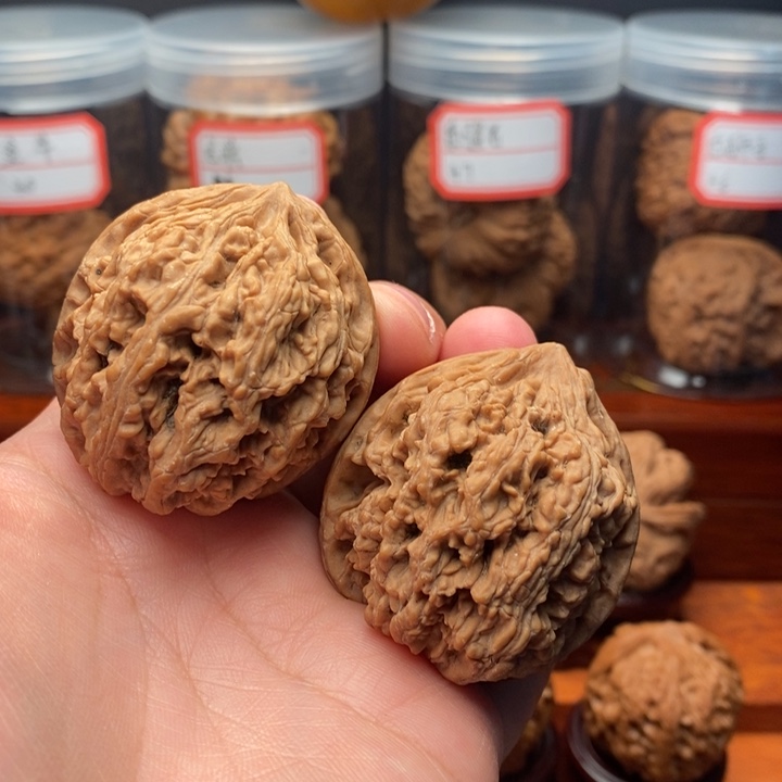 核桃皇家正圆狮子头41