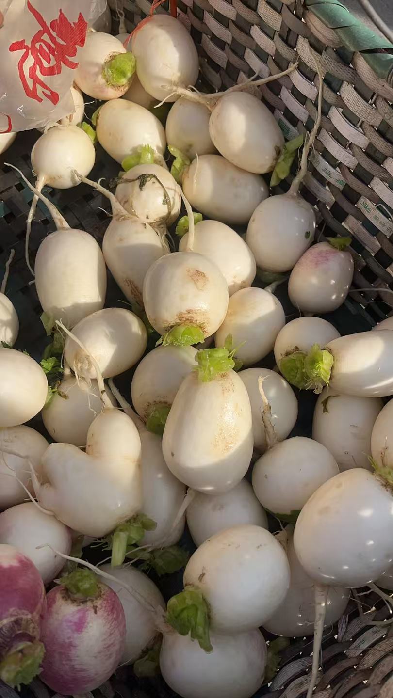 湖北本地小白萝卜