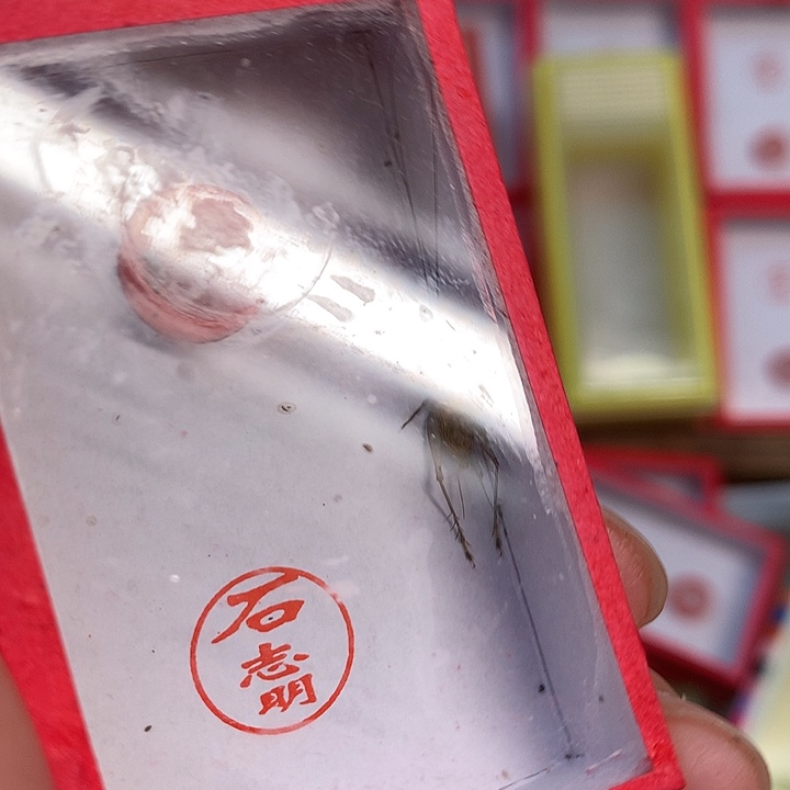 一条叫得非常响的大黄