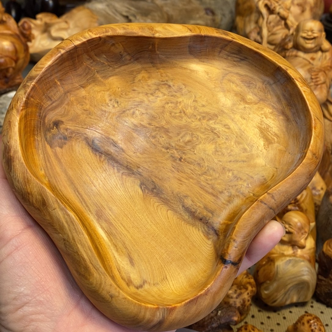 柏木（崖柏）太行山上