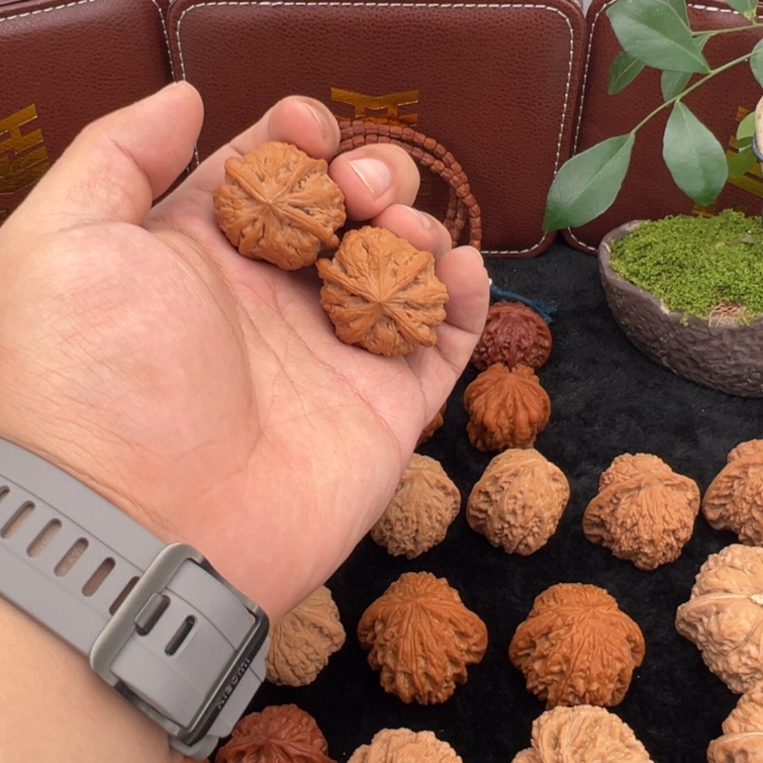 核桃雨花石四棱福利