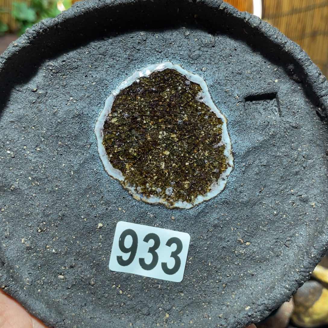 木村信弘柴保平瓶