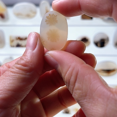 【闪购商品】玛瑙/玉髓珠宝半成品未镶嵌