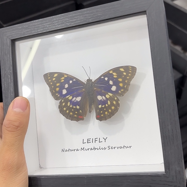 方框白底随机发一个