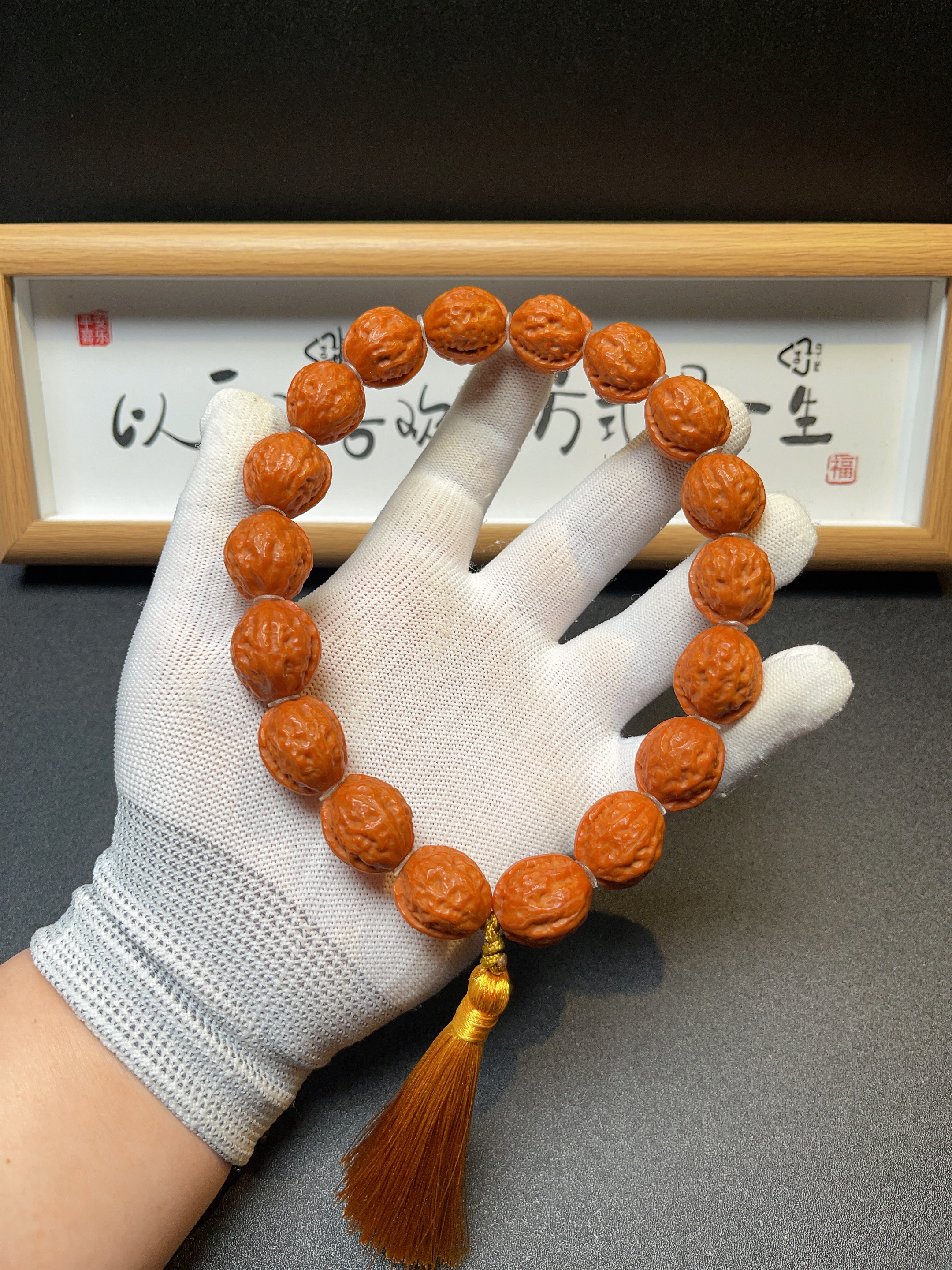 【8号】麒麟一道筋【高密度分红皮】小尺寸小秋子18颗 1.6尺寸