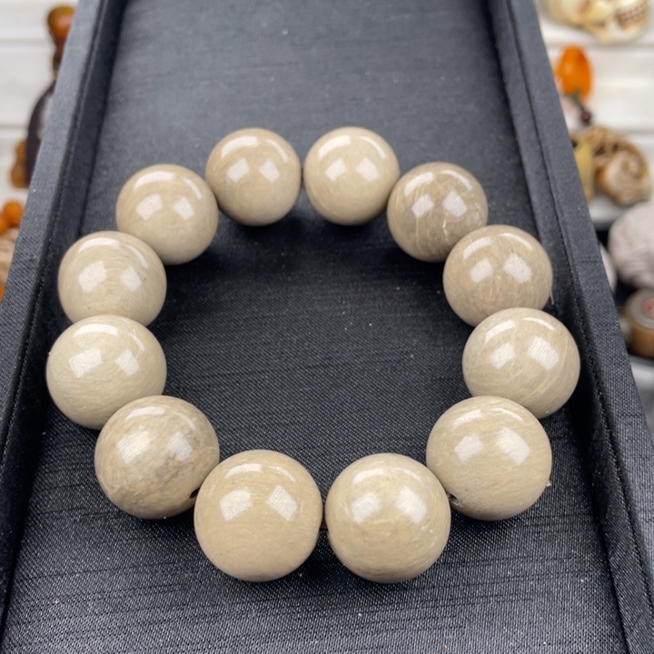 驼骨其他人工养殖20