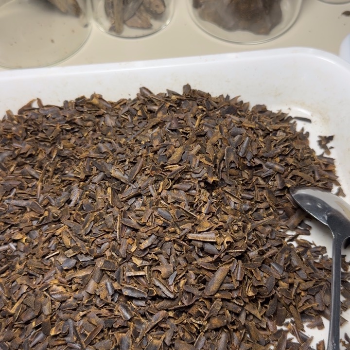 风车木（黑檀木）张*野生棋楠100克