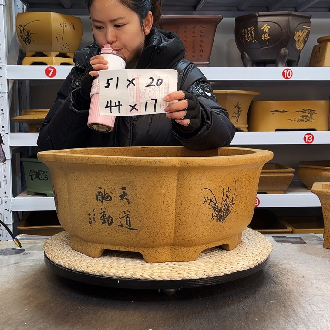 紫砂花盆紫砂花盆