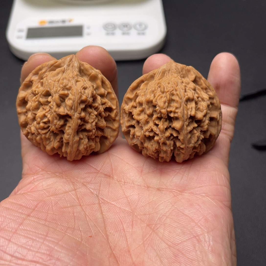 核桃全品百花山满天星43尺