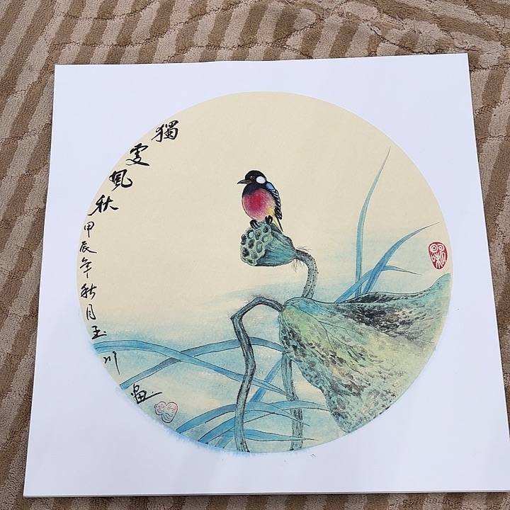 国画花鸟的翅膀和翅膀都是白色
