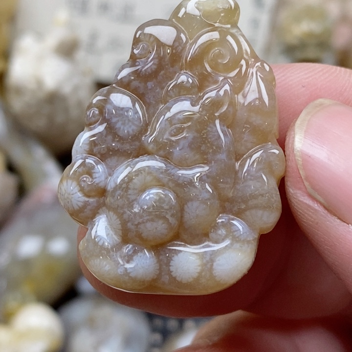 颈饰未镶嵌硅化珊瑚（珊瑚玉）小