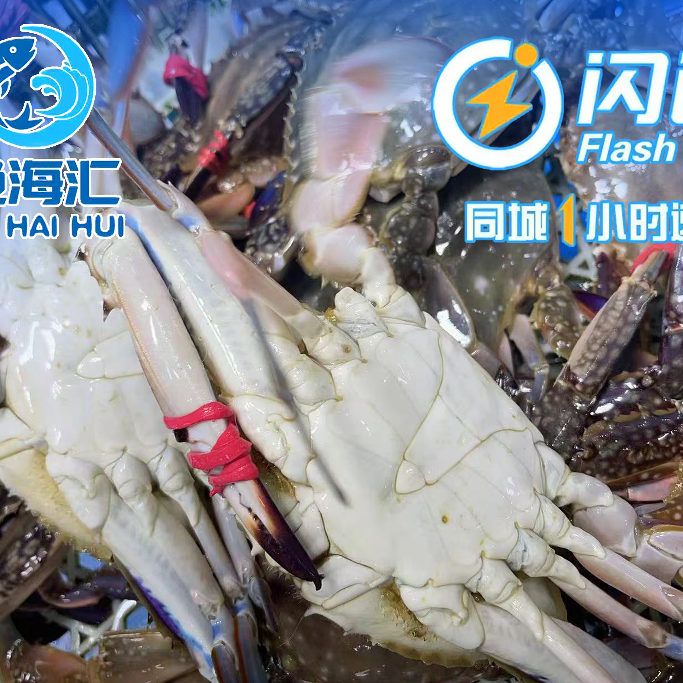现挑刚挂梭子蟹公母随机3斤装2/3左右一只每份12-15只左右加冰发货海鲜梭子蟹同城