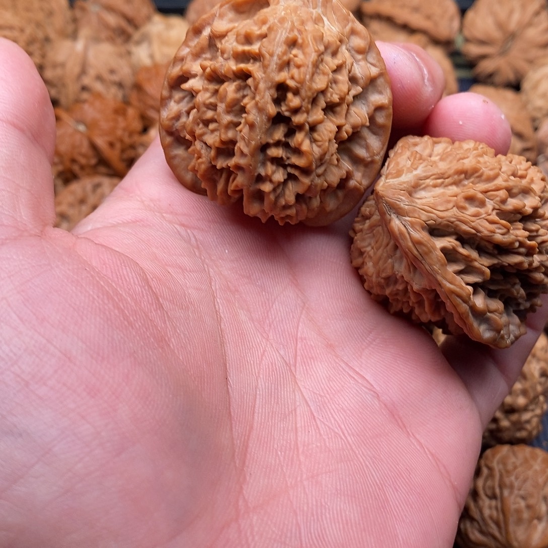 茶***吊坠文玩核桃满天星