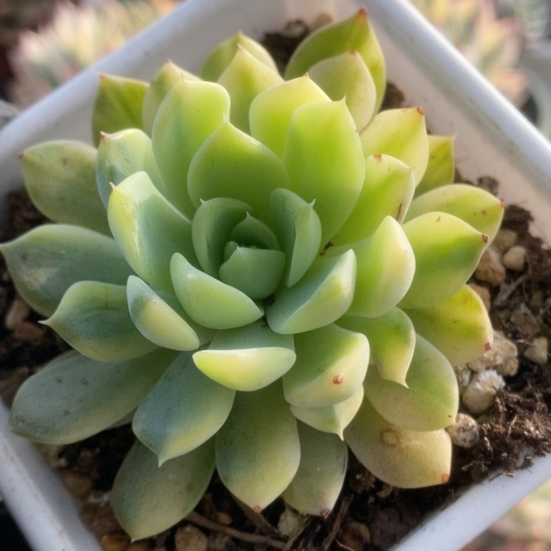 177不知名锦锦锦锦锦锦