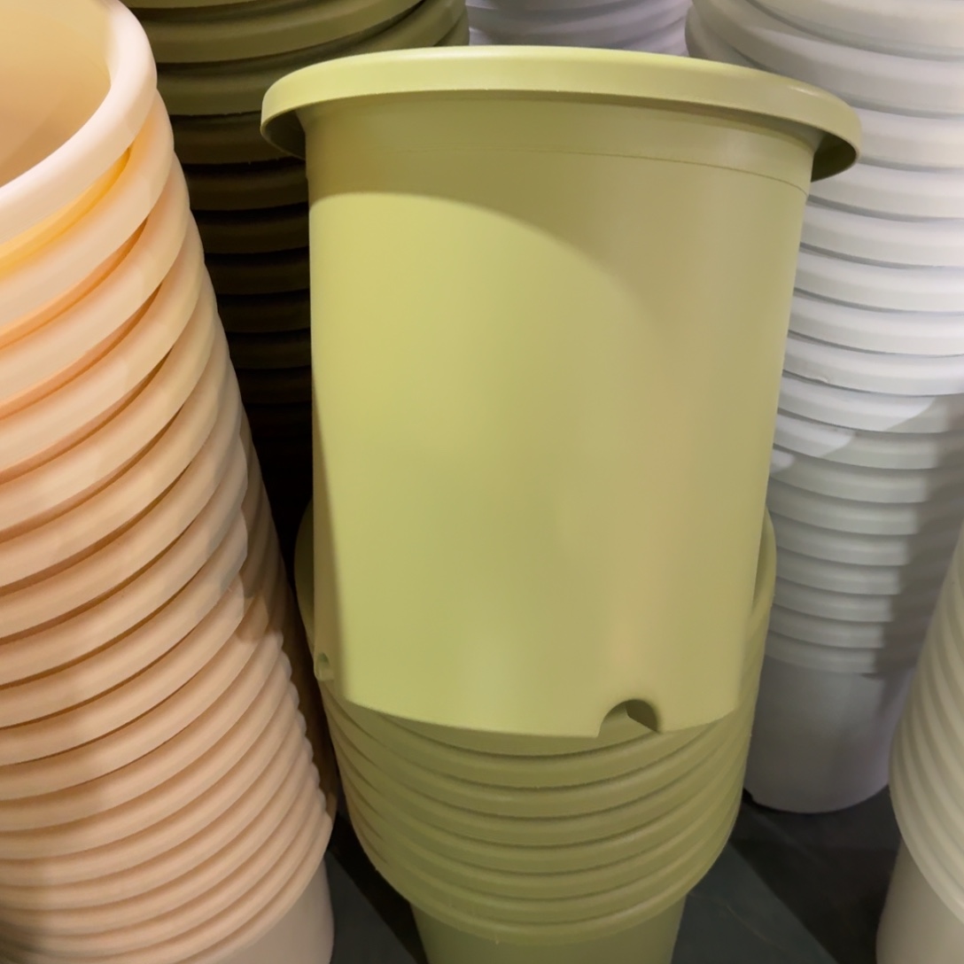 四季7#无拖果绿7个