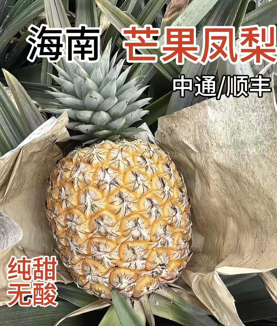 海南原产地芒果凤梨树熟香甜脆口多汁新鲜水果顺丰包邮