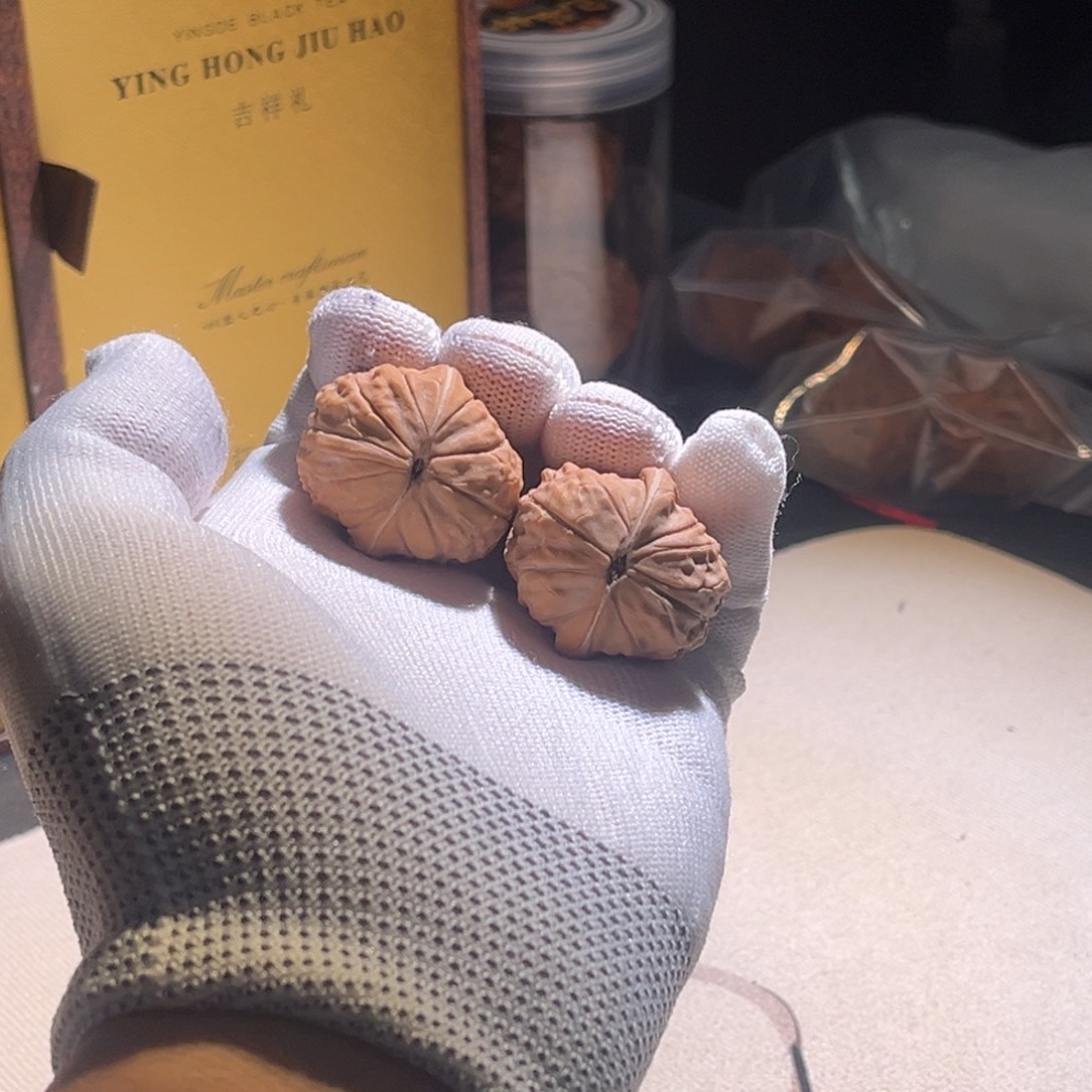 逗***龟甲纹法以及E嗯龟甲纹 