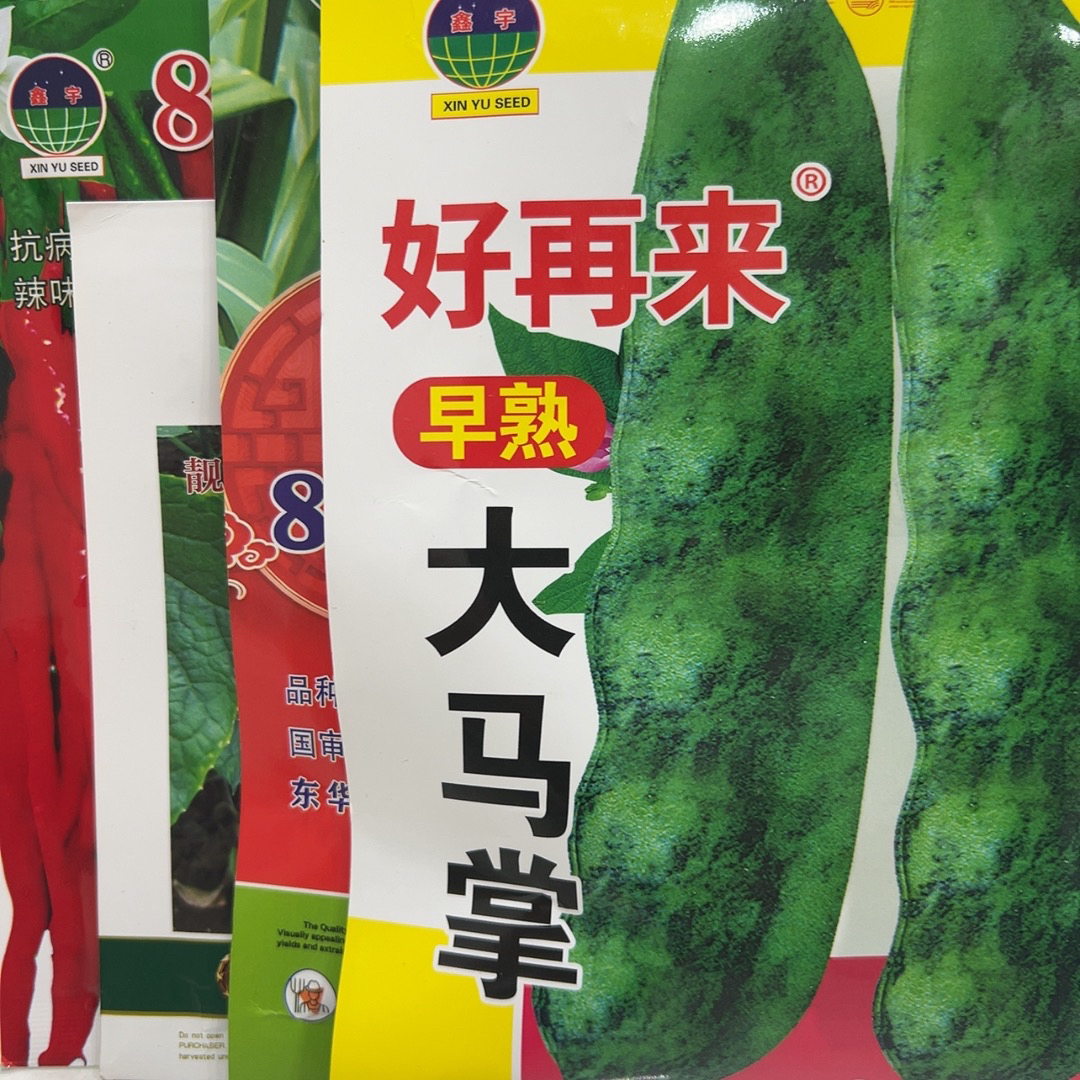 元旦福利早马掌种子（送3袋菜籽）