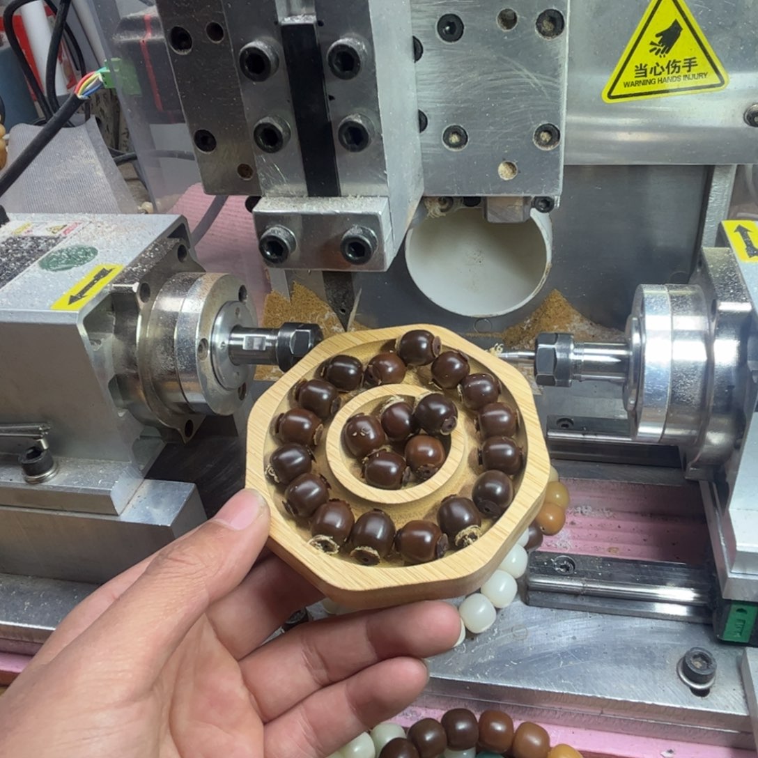 猛***腿菩提根/象牙果手串